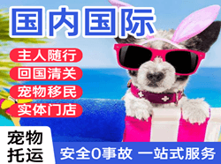 南宁机场托运国际宠物托运 【国